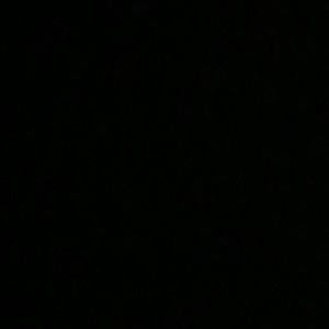 Meet your Posher, Chloe